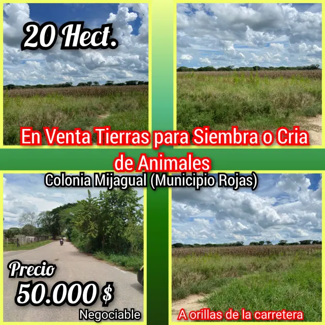 Finca de 20ha 3.441 mt² en Colonia Mijagual