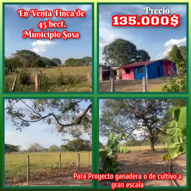 Finca de 45ha municipio Sosa