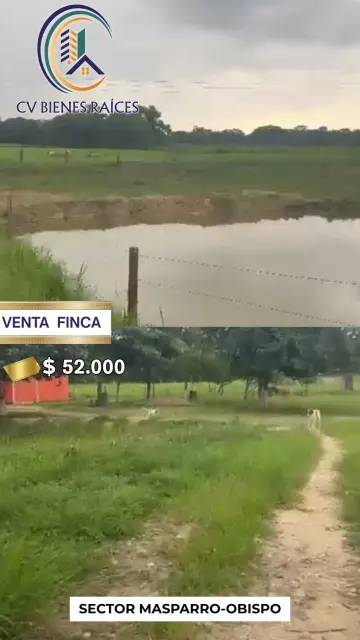 HERMOSA FINCA 10 HECTAREAS